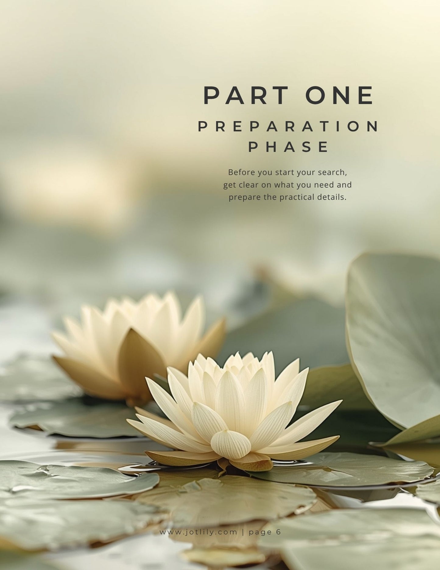 The Right-Fit Therapist Toolkit: A Step-by-Step Guide to Finding Your Perfect Therapeutic Match